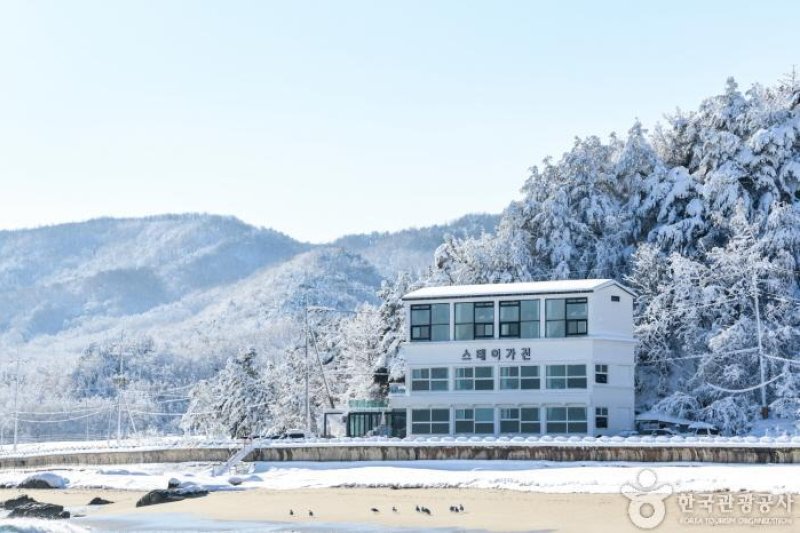 Stay加津[韓國觀光品質認證/Korea Quality] 스테이가진 [한국관광 품질인증/Korea Quality] (1/4)