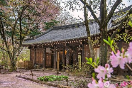 飯店靜觀樓分館（公寓式別墅）[韓國觀光品質認證/Korea Quality]  / 호텔정관루별관