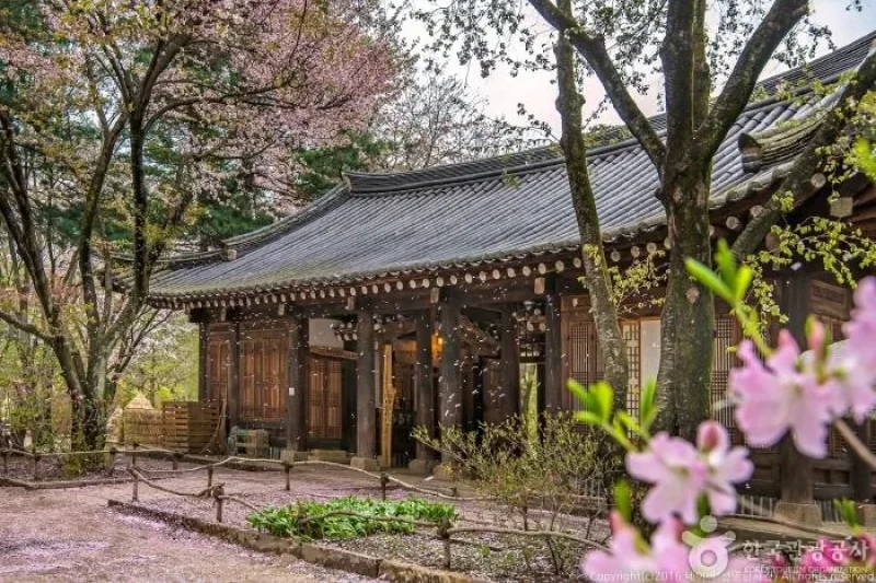 飯店靜觀樓分館（公寓式別墅）[韓國觀光品質認證/Korea Quality]  / 호텔정관루별관 (1/12)