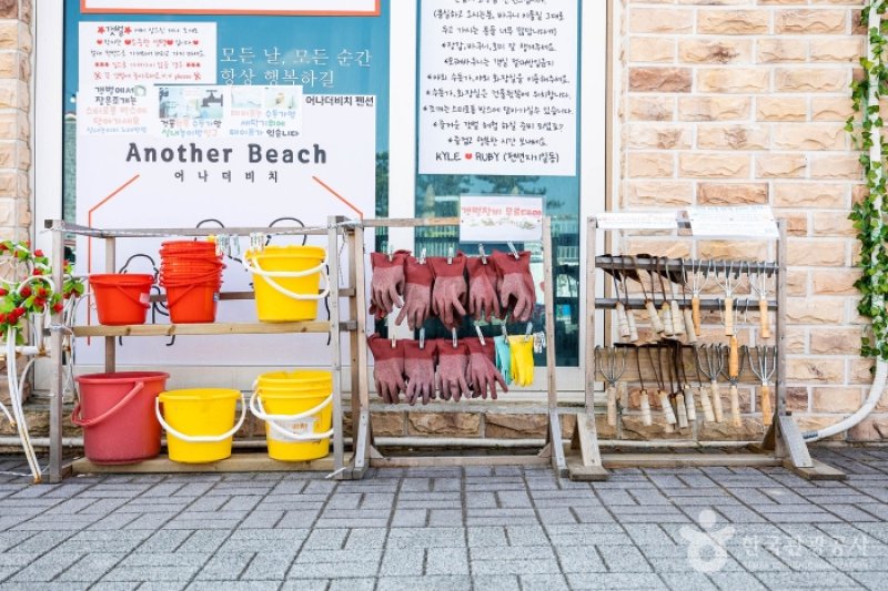 Another Beach [韓國觀光品質認證/Korea Quality] / 어나더비치 [한국관광 품질인증/Korea Quality] (21/22)