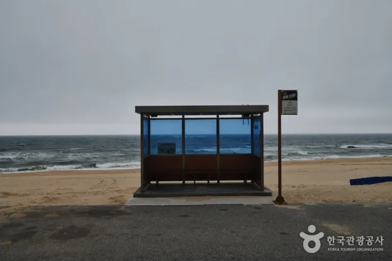 香湖海水浴場 (2/3)
