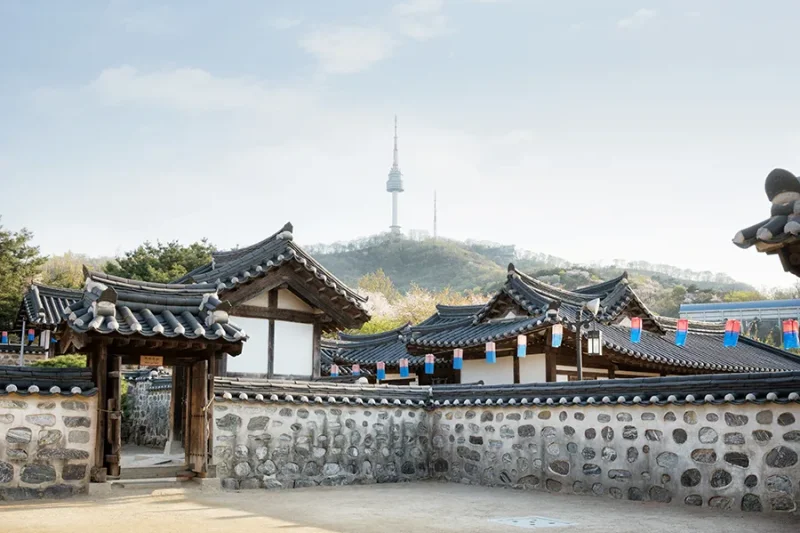 SEOUL FESTA 2024開幕式(開幕式門票＋文化體驗) / 2024 SEOUL FESTA Ticket (9/10)