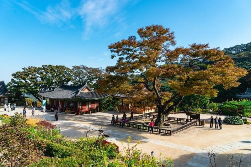 傳燈寺(江華) (4/6)