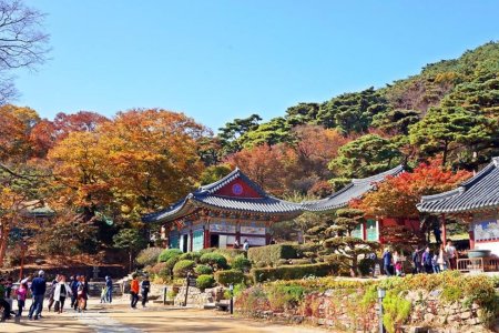 傳燈寺(江華)