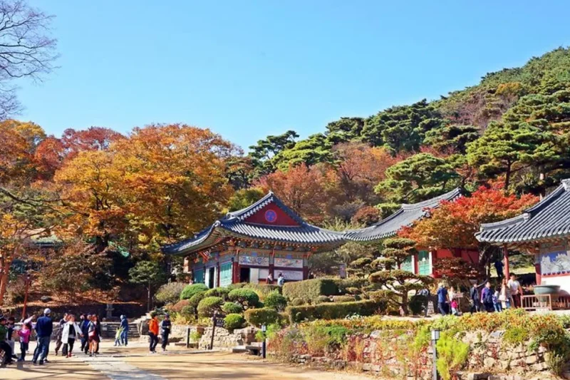 傳燈寺(江華) (6/6)
