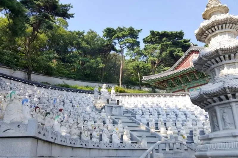 普門寺 (15/17)