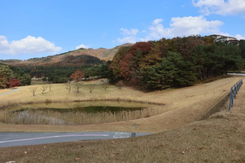 橡樹谷度假村(Oak Valley)-江原道 (7/20)