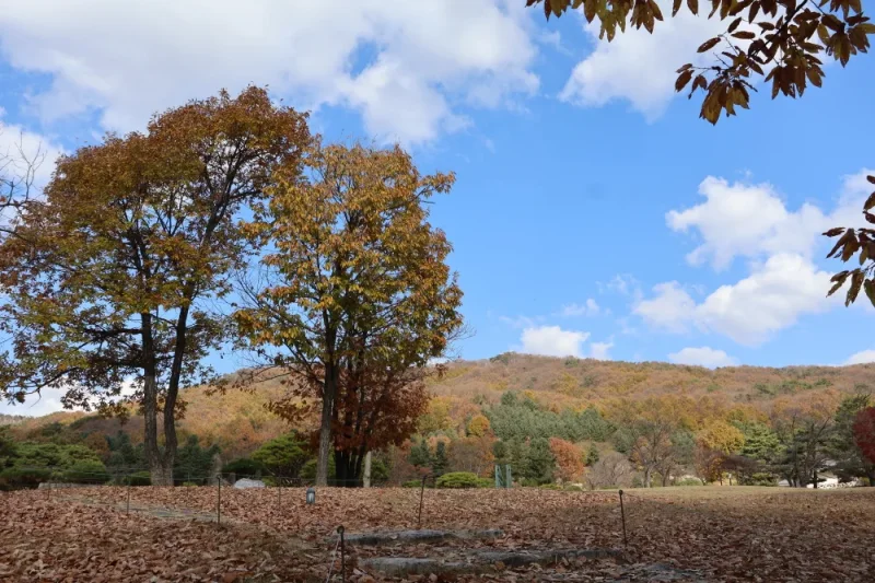 橡樹谷度假村(Oak Valley)-江原道 (10/20)