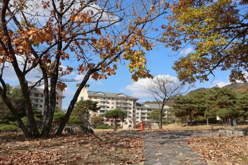 橡樹谷度假村(Oak Valley)-江原道 (14/20)