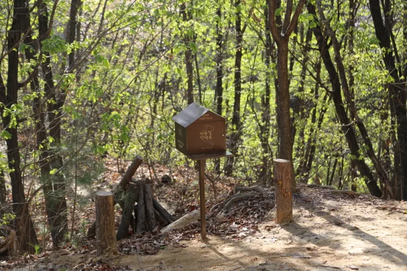 橡樹谷度假村(Oak Valley)-江原道 (18/20)