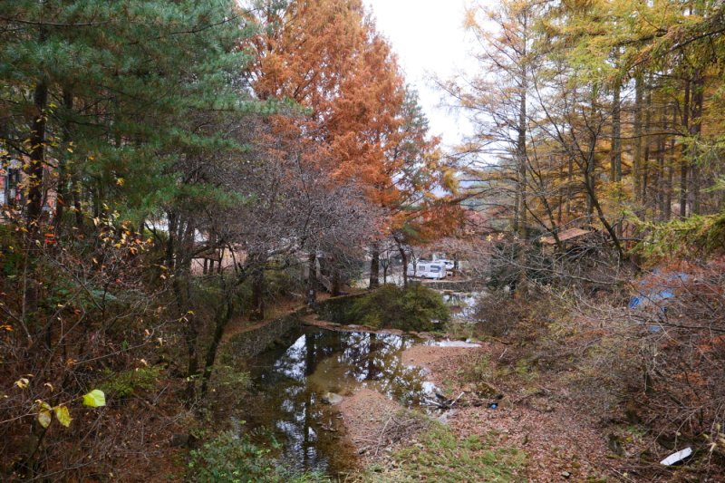 探索皮諾丘自然休養林（Pinocchio Forest）-江原道 (22/23)