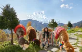 羊駝世界(AlpacaWorld) 門票 - 韓國熱門多種動物互動秀
