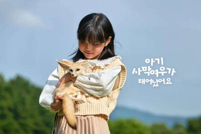 羊駝世界(AlpacaWorld) 門票 - 韓國熱門多種動物互動秀 (2/36)
