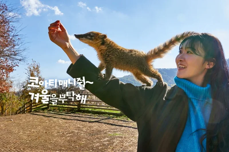 羊駝世界(AlpacaWorld) 門票 - 韓國熱門多種動物互動秀 (5/36)