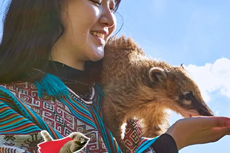 羊駝世界(AlpacaWorld) 門票 - 韓國熱門多種動物互動秀 (9/36)