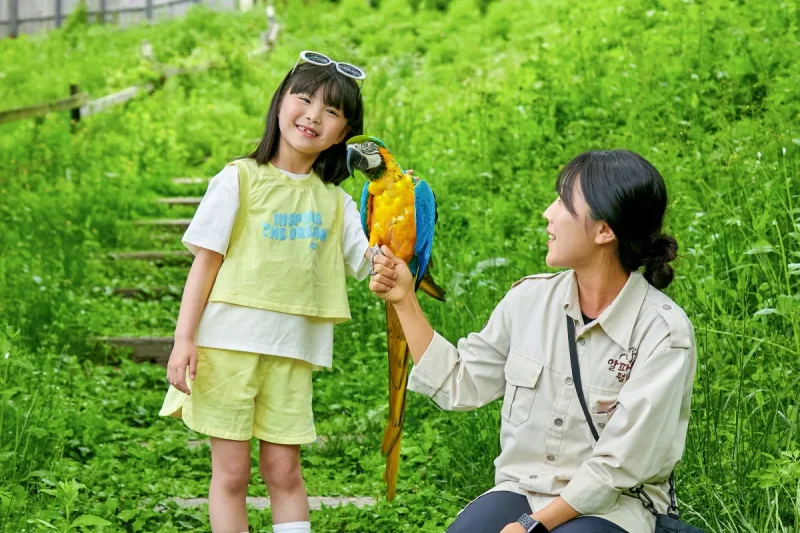 羊駝世界(AlpacaWorld) 門票 - 韓國熱門多種動物互動秀 (11/36)