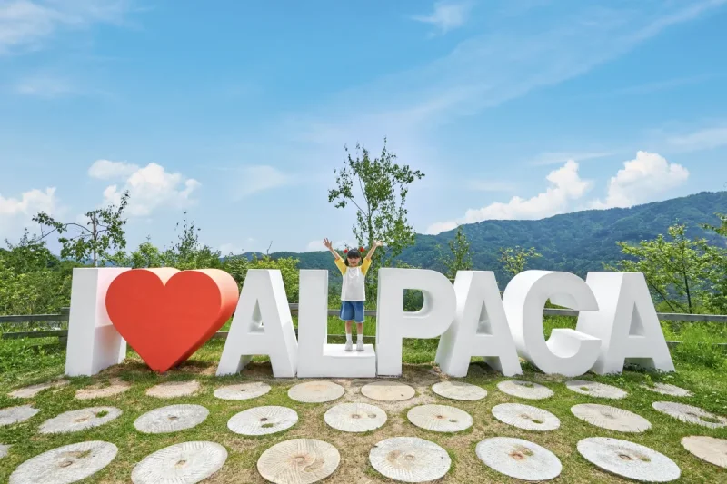 羊駝世界(AlpacaWorld) 門票 - 韓國熱門多種動物互動秀 (12/36)