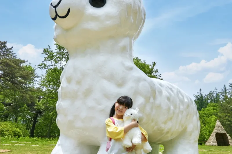 羊駝世界(AlpacaWorld) 門票 - 韓國熱門多種動物互動秀 (15/36)