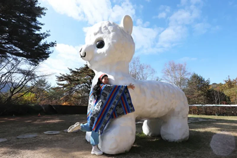 羊駝世界(AlpacaWorld) 門票 - 韓國熱門多種動物互動秀 (17/36)