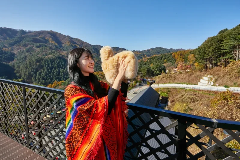 羊駝世界(AlpacaWorld) 門票 - 韓國熱門多種動物互動秀 (20/36)