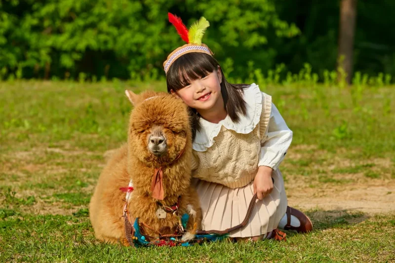 羊駝世界(AlpacaWorld) 門票 - 韓國熱門多種動物互動秀 (21/36)