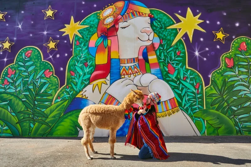 羊駝世界(AlpacaWorld) 門票 - 韓國熱門多種動物互動秀 (23/36)
