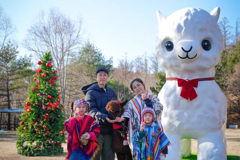 羊駝世界(AlpacaWorld) 門票 - 韓國熱門多種動物互動秀 (28/36)