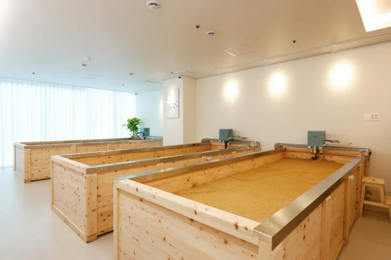 Terren 仁川鬆島 Canal店 排毒療愈中心