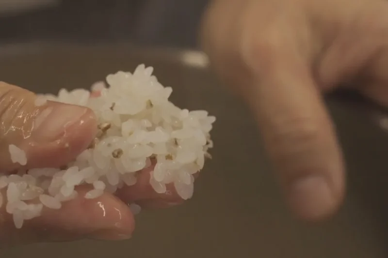 蜜酒堂 (韓國傳統酒工坊)