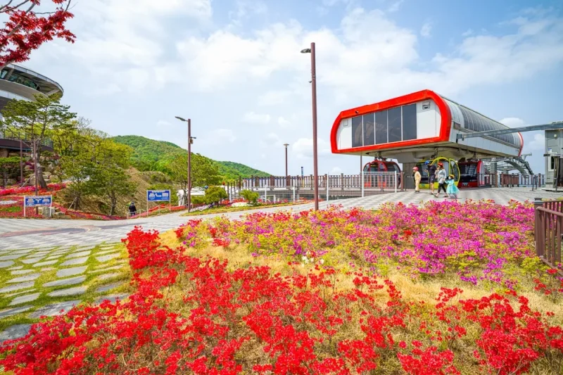 江華斜坡滑車 (江華海邊度假村) 專享優惠券 (13/34)