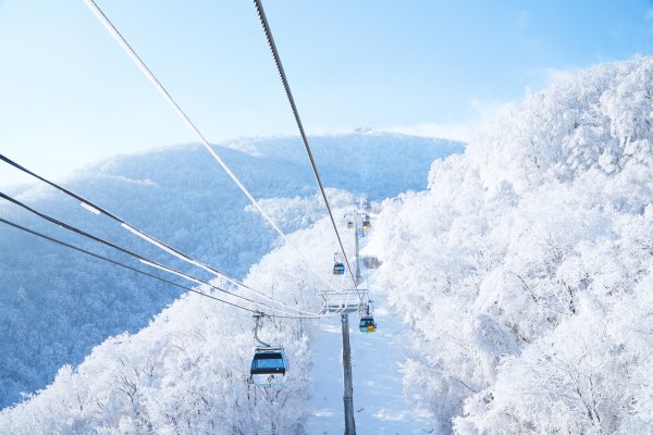 Alpensia度假村滑雪場