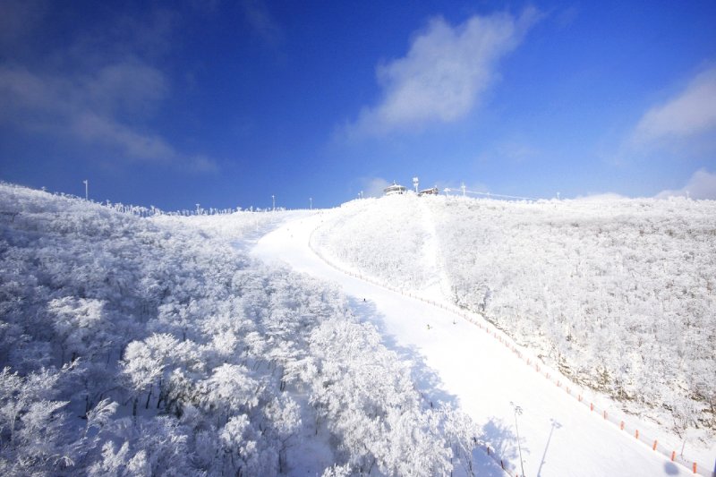 High1度假村滑雪場（High1 Resort Ski Resort）