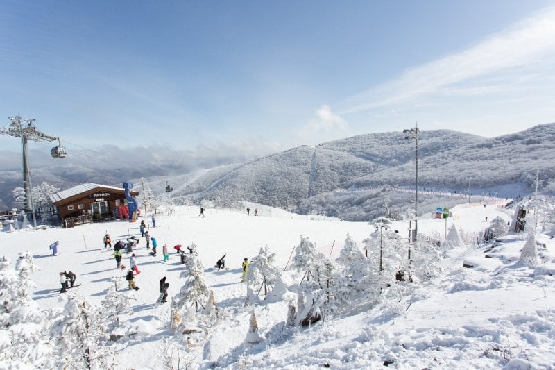 High1度假村滑雪場（High1 Resort Ski Resort）