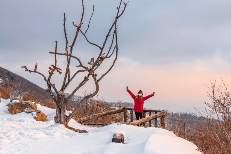 High1度假村滑雪場（High1 Resort Ski Resort）