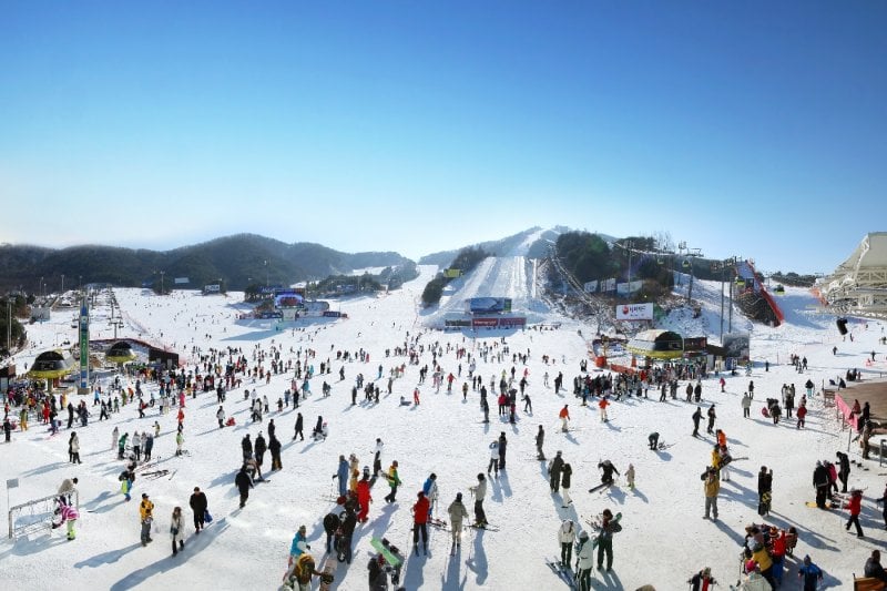 WELLI HILLI PARK 滑雪場 (Welli Hilli Park Snow Park) (2/13)