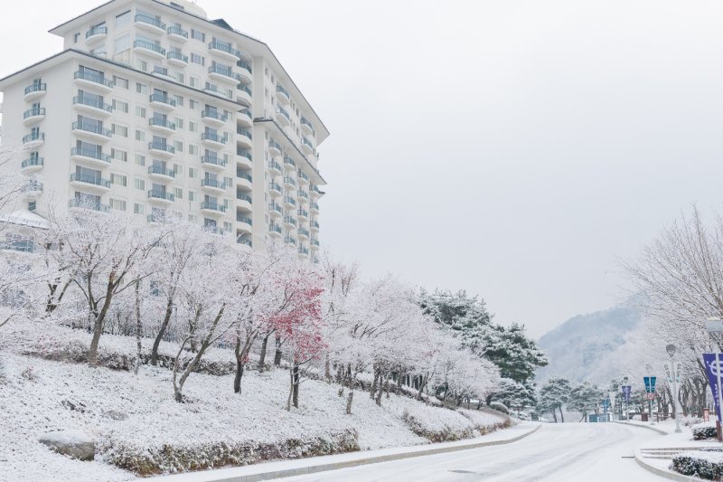 伊利希安江村滑雪場 (Elysian Gangchon Ski Resort) (5/25)