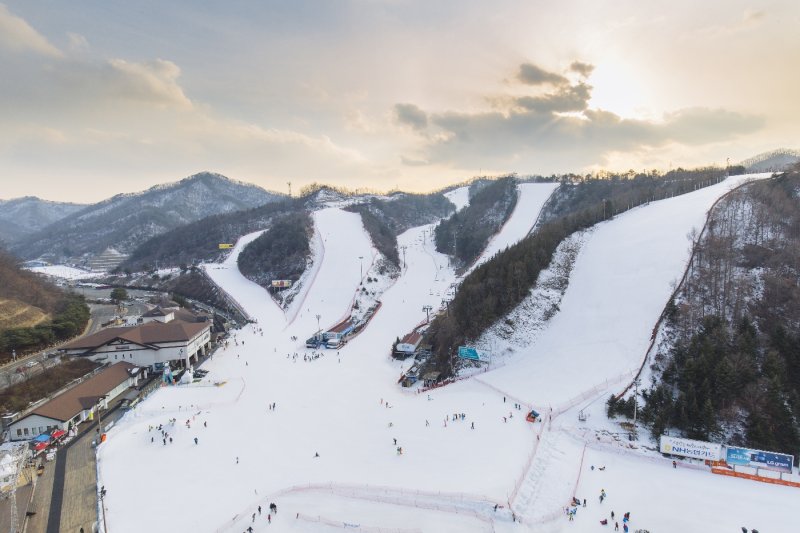 伊利希安江村滑雪場 (Elysian Gangchon Ski Resort) (6/25)