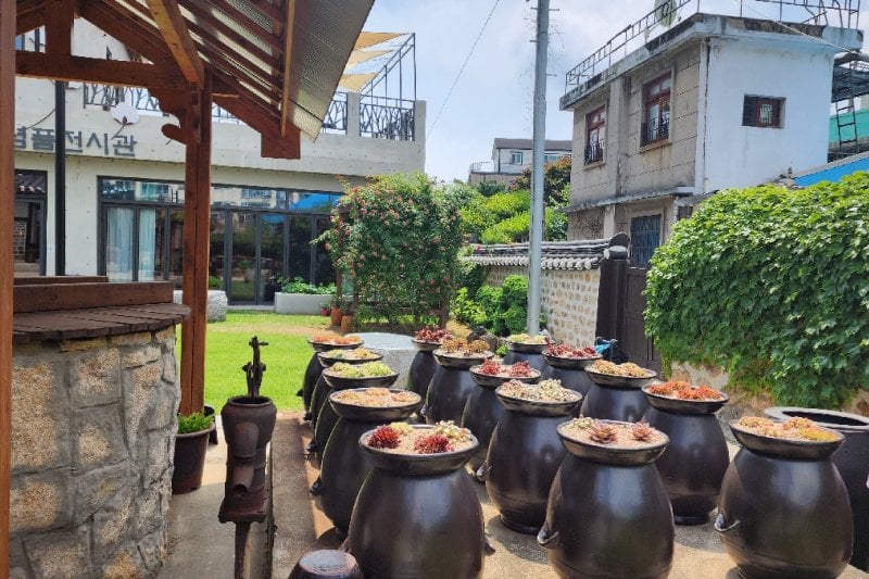 江華島 DMZ 和平一日遊 (20/41)