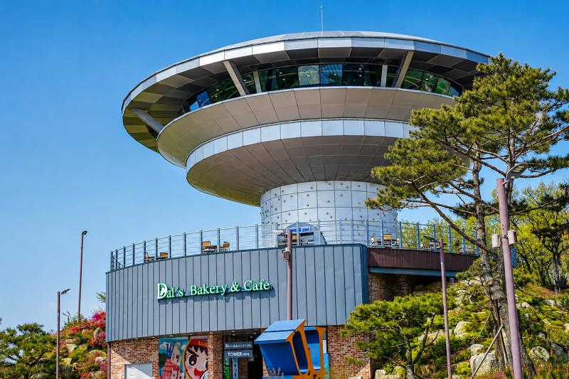 江華島 DMZ 和平一日遊 (40/41)